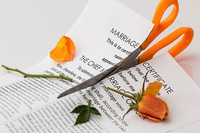 přestřižený oddací list jako symbol rozvodů v lednu